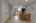 Blurred preview of media: 260043-8a