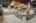 Blurred preview of media: 2025 Beaver Run - Stock Photos, Breckenridge, CO 80424 â Print-7