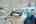 Blurred preview of media: Dorothy Gayle-45