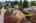 Blurred preview of media: 1-1