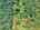 Blurred preview of media: 9zzt