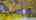 Blurred preview of media: 79