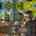 Blurred preview of media: 1 6494 S Routt St 00042