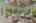 Blurred preview of media: 277 Main Street Bolton Massachusetts Job 38618 0097