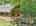 Blurred preview of media: DJI_20260608135640_0497_D_8_D_9_D_easyHDR