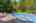 Blurred preview of media: Nerine_029