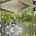 Blurred preview of media: 1-926-8075