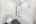 Blurred preview of media: 198 Borden Rd (39)