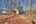 Blurred preview of media: IMG_9808_09_10_easyHDR