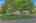 Blurred preview of media: FPP00011