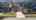 Blurred preview of media: 07