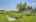 Blurred preview of media: IMG_1213