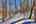 Blurred preview of media: IMG_0464_5_6_easyHDR