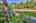Blurred preview of media: IMG_4727_8_9_easyHDR