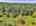 Blurred preview of media: DJI_20250802145755_0727_D_8_D_9_D_easyHDR