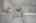 Blurred preview of media: 14