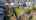 Blurred preview of media: 57