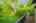 Blurred preview of media: 64 Ravina Cres, Ancaster _ Nathan Ferro131