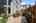 Blurred preview of media: 1-38