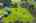 Blurred preview of media: DJI_0927