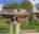 Blurred preview of media: 1