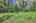 Blurred preview of media: IMG_0964_5_6_easyHDR