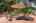 Blurred preview of media: 1-34