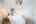 Blurred preview of media: 2002 Ingledale Rd-22
