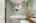 Blurred preview of media: DSC06667