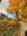 Blurred preview of media: IMG_0940
