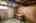 Blurred preview of media: IMG_9679