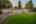 Blurred preview of media: DSC09498