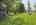 Blurred preview of media: IMG_12x84
