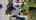Blurred preview of media: DJI_20260929141553_0093_D_ROB26-Edit