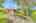 Blurred preview of media: 4
