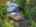 Blurred preview of media: 1-50