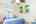 Blurred preview of media: 081A0282-Edit