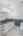 Blurred preview of media: DSC01029