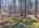 Blurred preview of media: DJI_20260408120749_0397_D_8_D_9_D_easyHDR