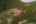 Blurred preview of media: 0314 Coronet Drive, Blue River, Colorado, 80424 - Web-65