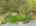 Blurred preview of media: 90 Frye Road Bolton Massachusetts Job 38664 0095