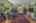 Blurred preview of media: 11