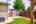 Blurred preview of media: 15901 Four Corners Ct-132