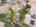 Blurred preview of media: 81-print-DJI_20260527050016_0975_D