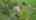 Blurred preview of media: DJI_0774
