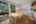 Blurred preview of media: PAX_1823