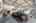 Blurred preview of media: Renton 18308 Garage-2