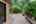 Blurred preview of media: PAX_2121