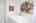 Blurred preview of media: 1111 Avenue Road-11