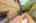 Blurred preview of media: 58